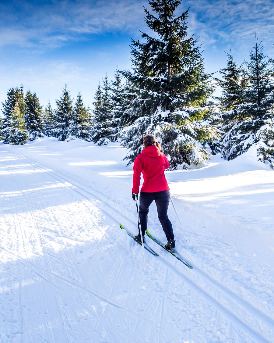 Langlaufloipe in Oberhof im Schnee